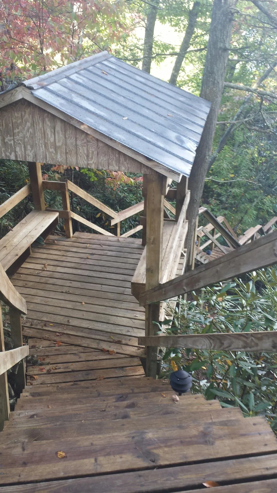 Metal roofed shelter over wooden steps on a wooded walkway — Skylight Repair & Installation work by our crew in Panama